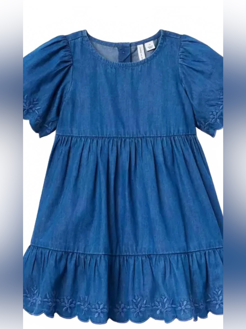 Janie and Jack Girls Embroidered Floral Chambray Dress In Blue Size 12 - 18month